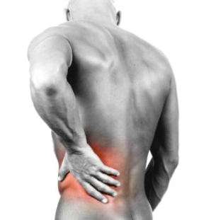  Higher body fat content linked to increased back pain 