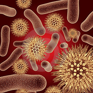New insights into human decision making with bacteria''s help
