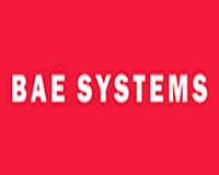 Atlantic Marine seeking better future in BAE Systems