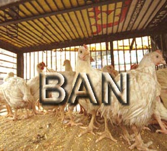 Tamil Nadu puts ban on poultry feed from Karnataka