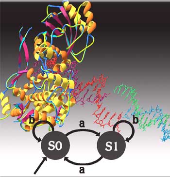 Biomolecular computers can now 'think logically' 