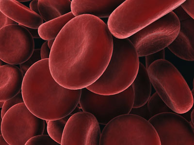 Elevated biomarkers compromise quality of life in heart attack patients post-discharge