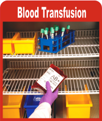 Pak Army recovers blood transfusion, reprocessing plant from Fazlullah’s hideout