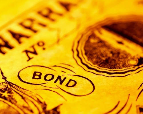 Govt. may bring sovereign bond issue to attract foreign capital