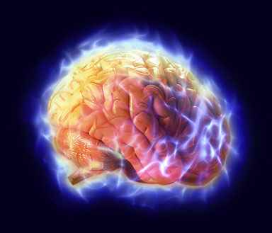 Oestrogen making you smarter