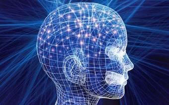 brain-forms