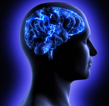 Both sides of brain involved in speech, not just one!