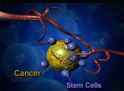 cancer-stem-cells