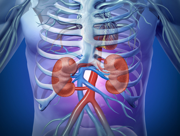 chronic-kidney-disease