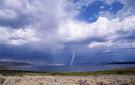 IUNC Study Claims; Amphibians And Birds Most Susceptible To Climate Chang