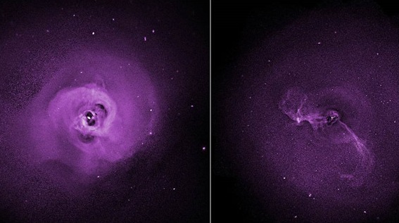 cluster galaxies
