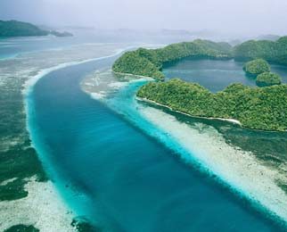 Bacteria in coastal waters are ‘generalists’