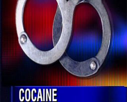 Mexican Navy finds five tons of cocaine in frozen shark meat 