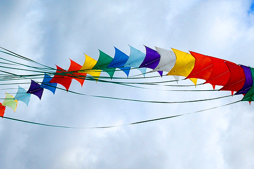  Delhi’s kite lovers have a gala time despite rains on I Day