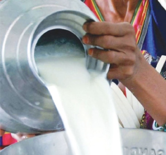 Average global dairy prices rose 1.1%, data