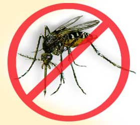 dengue malaise