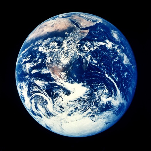 Scientists reveal ‘evolutionary trigger’ that made flowering plants dominate Earth