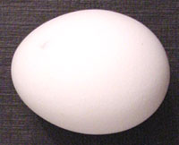 Oh, what an egg!  