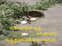 "Empty nest syndrome"- a misconception