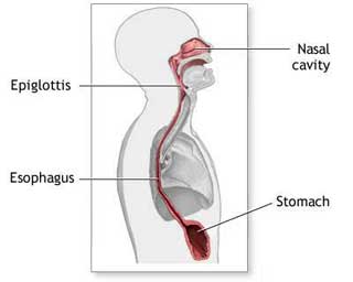 esophagal cancer