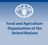 FAO head calls for major increase in agricultural aid to Africa