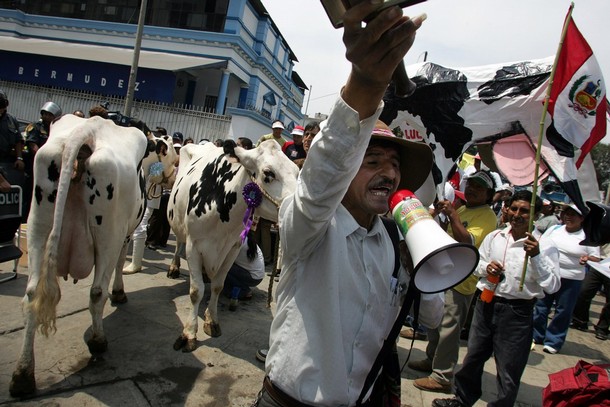 German dairy farmers protest at grocery head offices