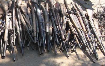 Zambia poachers give up illegal arms