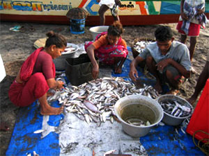 fisheries