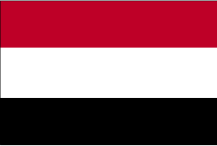 Yemen probes killing of fisherman in Russian anti-piracy attack 