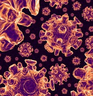 Images Of Viruses