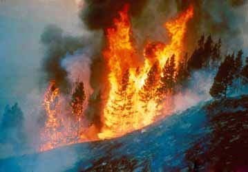 Massive fire engulfs forest area in Kashmir’s Rajouri District