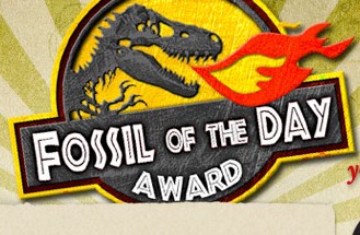fossil of the day