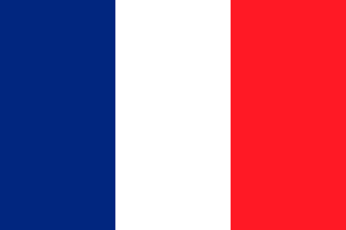 Paris French Flag