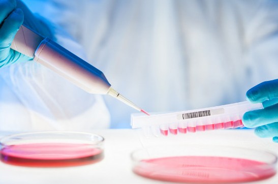 gene-testing