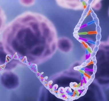 genome sequences