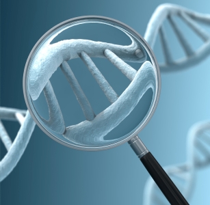 genome