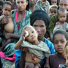 Global Food Shortage