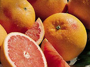 Grapefruits