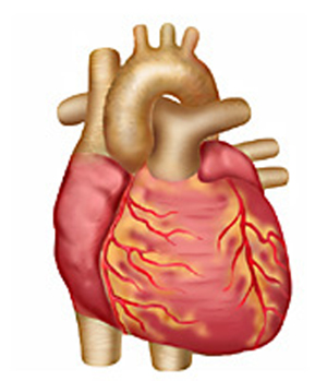 hearts