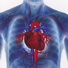 Secondhand smoke exposure could lead to heart problemsSecondhand smoke exposure could lead to heart problems