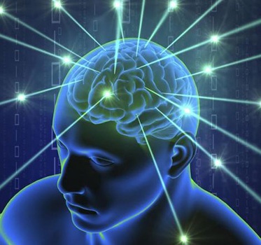 human brain works