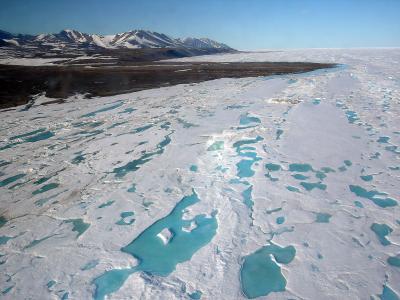 Arctic Ocean sea ice falls to its second lowest level since 1979 