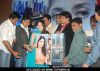 Archana Joglekar, Akhilendra Mishra and Raghuvir Yadav at The music launch of the film "Married 2 America" at The Club