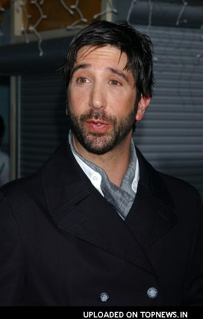 David Schwimmer - Photo Set