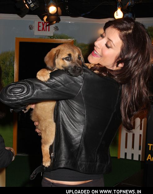 Kate Walsh Opens Pedigree Dog Store in Times Square to Help Shelter Dogs Find Loving Homes Kate Walsh Opens Pedigree Dog Store in Times Square to Help Shelter Dogs Find Loving Homes