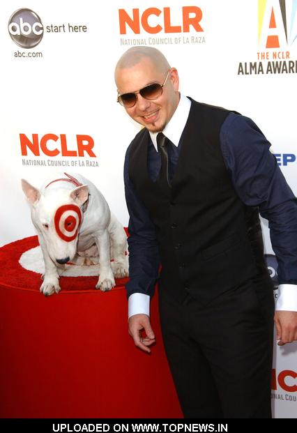 Pitbull 2