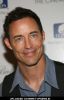 Tom Cavanagh at The Cinema Society with Brooks Brothers & Cotton Host a Screening of "500 Days of Summer" - Arrivals