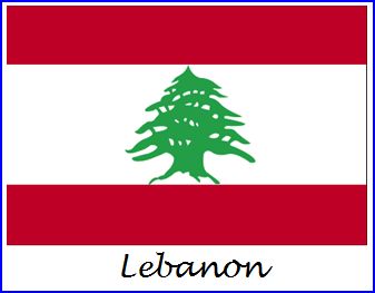 Hezbollah delegation meets Saad Hariri in Lebanon 