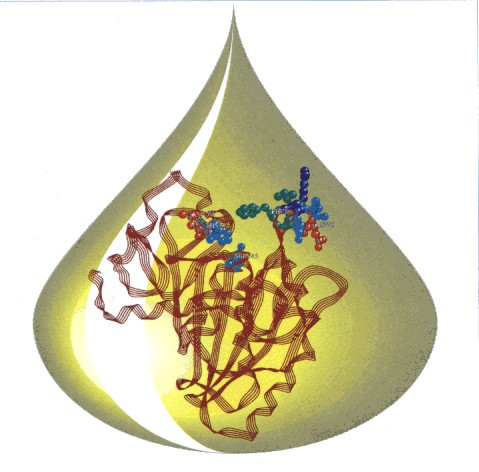 Genetic variants linked to disturbances in lipid metabolism identified