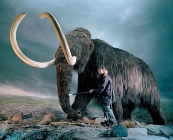 Japanese scientists aiming at cloning mammoths 